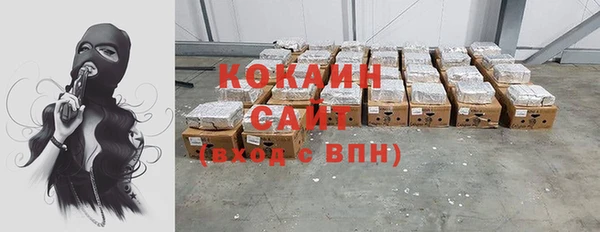 шишки Арсеньев