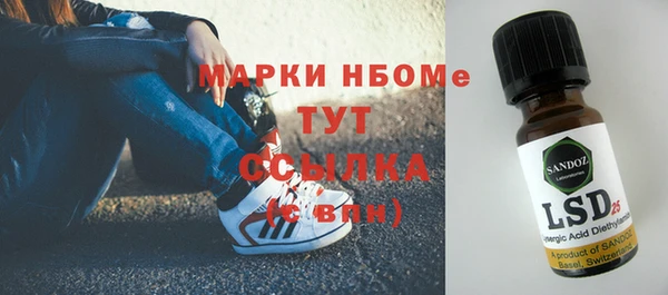шишки Арсеньев