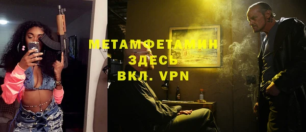 прущие грибы Аркадак