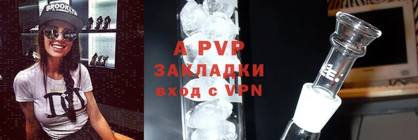 шишки Арсеньев