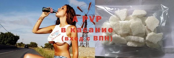 шишки Арсеньев