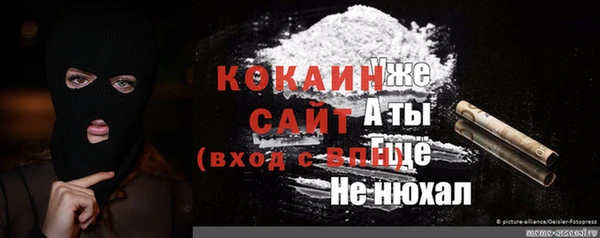 прущие грибы Аркадак