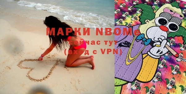 шишки Арсеньев