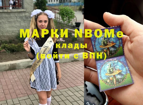 прущие грибы Аркадак