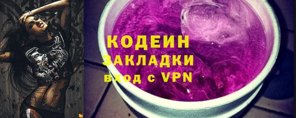 шишки Арсеньев