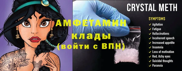шишки Арсеньев
