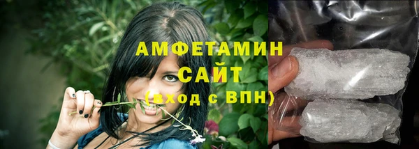 шишки Арсеньев